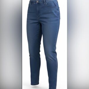 TERRA & SKY Soft Denim Jeggings (SIZE 2X)